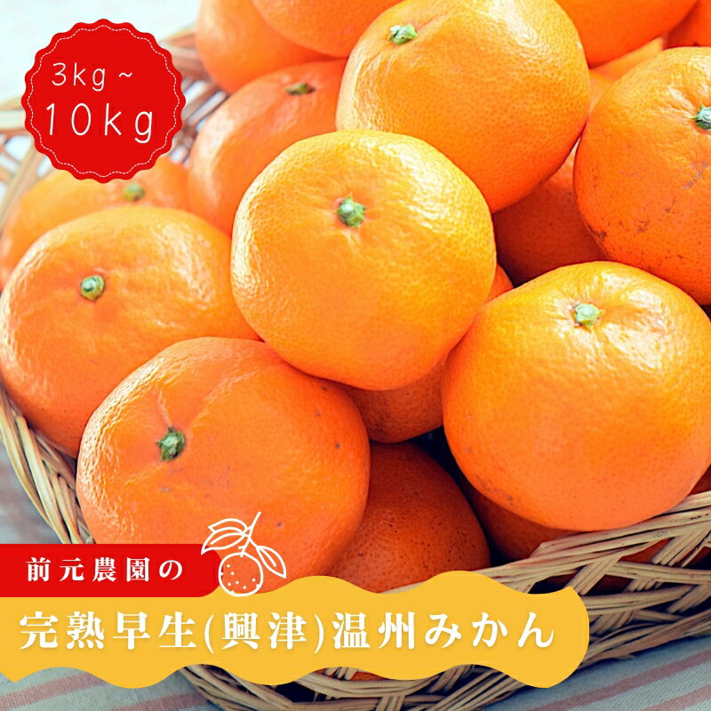 【ふるさと納税】 【サイズ・容量が選べる】前元農園の 完熟中生(なかて) 温州みかん 3~10kg s-M or L サイズ 【1月初旬〜下旬に順次発送】 / くだもの フルーツ 果物 人気 みかん ミカン 蜜柑 柑橘 数量限定