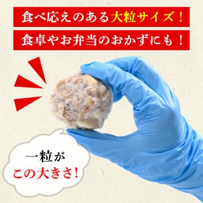 ふるさと納税 いちき串木野市 【訳あり】鹿児島県産豚肉使用 焼売96個セット(45g×24個 合計4kg超え!) |  | 01