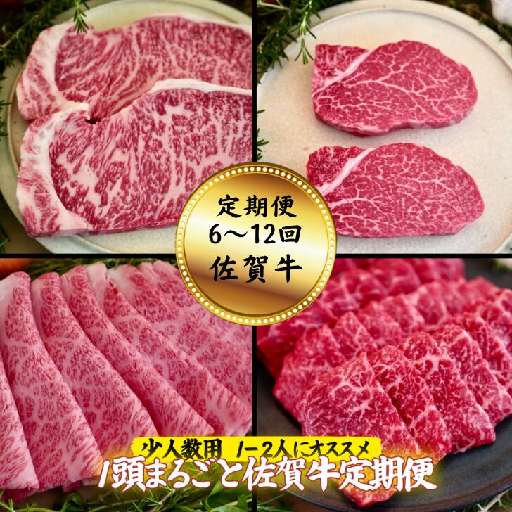 【ふるさと納税】【定期便 全6回～12回】【少人数用】1頭まるごと佐賀牛定期便 サーロインステーキ モモ焼肉 すきやき カタ焼肉 ヒレステーキ バラ焼肉用：B870-003