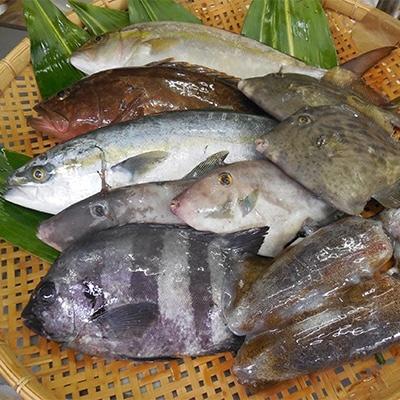ふるさと納税 美浜町 簡単で便利!手軽で新鮮な若狭秋冬旬の鮮魚セット計3kg入　毎週木・金・土発送