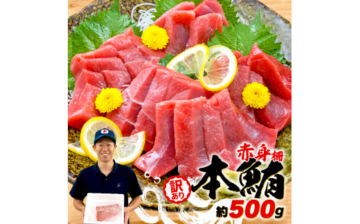 
訳あり 本まぐろ 赤身 約500g 不定型柵 本鮪 まぐろ 赤身 解凍 鮪 漬け マグロ ユッケ 海鮮 本マグロ ふるさと人気 ( 大人気マグロ 人気マグロ 絶品マグロ 至高マグロ 国産マグロ 詰め合わせマグロ ギフトマグロ 大容量マグロ 新鮮マグロ 本格マグロ 訳ありマグロ )
