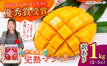 マンゴー【2026年発送】完熟マンゴー 訳あり 約1kg
