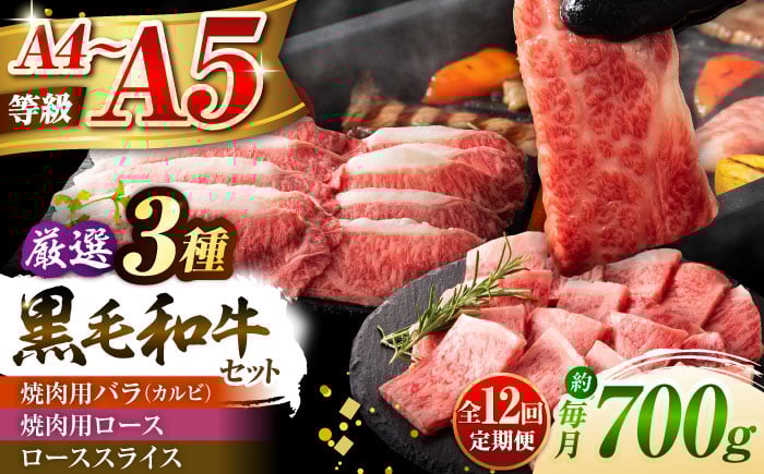 
            【全12回定期便】くまもと黒毛和牛「藤彩牛」厳選3種の食べ比べ計700g 3902【株式会社フジチク】 [BHAD044]
          