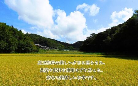 R7年産 自然栽培米 旭（玄米）5kg | 豊後高田市