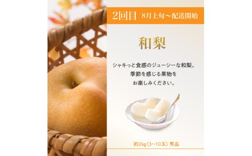 ≪先行受付≫ 桃と梨好きの満足定期便【定期便全3回】