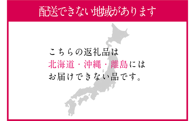 ぶどう 2025年 先行予約 シャイン マスカット 晴王 1房 約700g ブドウ 葡萄  岡山県産 国産 フルーツ 果物 ギフト