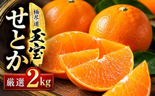 【先行受付】「玉宝ブランド」＜せとか＞2kg＜C64-46＞_みかん せとか 蜜柑 ミカン 愛媛 柑橘 かんきつ 愛媛みかん 果物 くだもの フルーツ 果実 青果 デザート おいしい 2kg 1箱 産直 産地直送 愛媛県 国産 送料無料 【1511267】 YWTY035