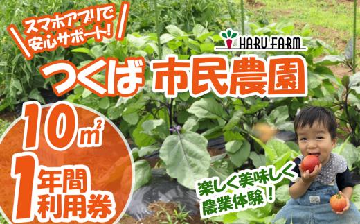 【専用スマホアプリがサポート！】ハルファームの市民農園利用券　(10㎡ 1年分) 【 茨城県 つくば市 農園 貸農園 貸し農園 農業体験 農業 野菜収穫 体験 野菜体験 チケット 旬野菜 採れたて野菜 】