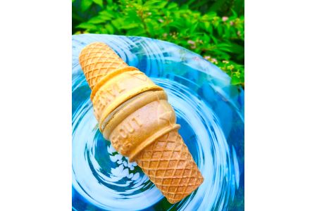 平野屋自家製「抹茶アイス」と「ほうじ茶アイス」のセット【6月～10月のお届け】 冷菓 お菓子 おやつ アイス 抹茶アイス ほうじ茶アイス 自家製 夏季限定 お取り寄せ ひんやりグルメ 【1339】