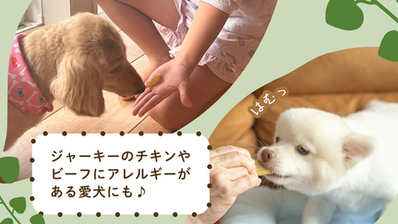犬のおやつ 国産 干し芋 無選別 訳あり 800g (100g × 8袋) 　【2026年6月発送開始】