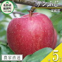 【ふるさと納税】りんご サンふじ 家庭用 5kg ヒライ農園 沖縄県への配送不可 令和6年度収穫分 信州の環境にやさしい農産物 減農薬栽培〔 果物 フルーツ リンゴ 林檎 家庭用 信州 長野 14000円 予約 農家直送 〕発送期間：2024年12月上旬～2024年12月下旬