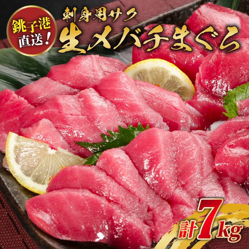 【ふるさと納税】 生メバチマグロ（刺身用サク）約7kg まぐろ まぐろのお刺身 お刺身 トロ 赤身 マグロのサク 鮮度抜群 鮮魚 千葉県 銚子市 かねまた水産