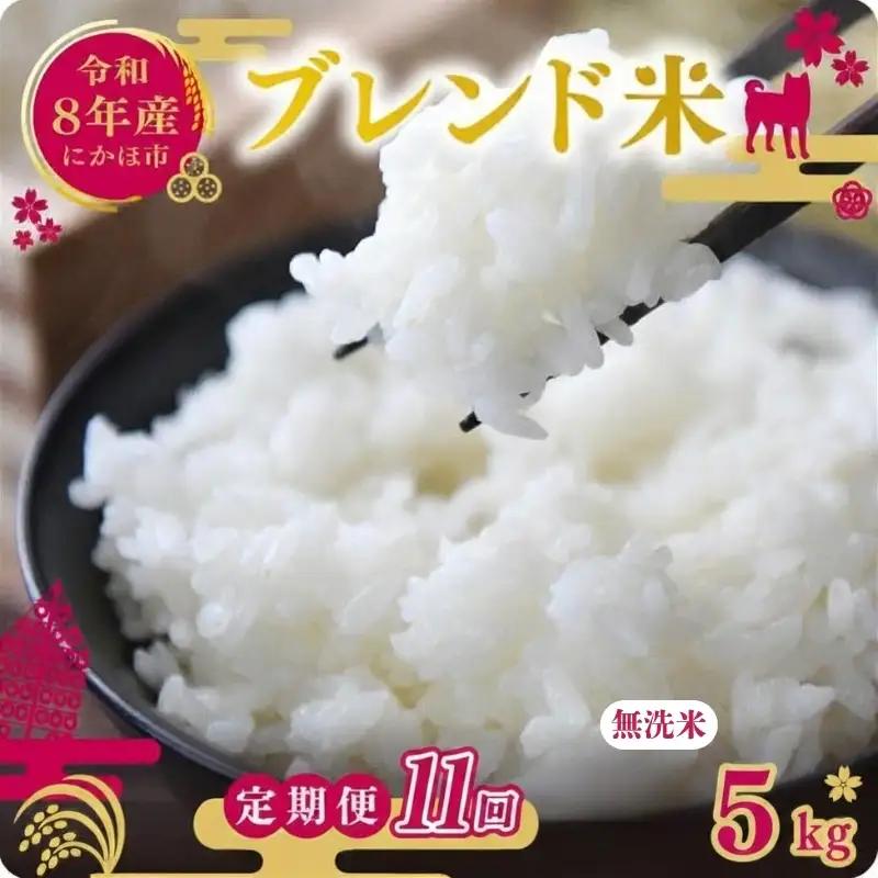 【先行予約 定期便11か月】無洗米 ブレンド米 10kg  令和8年度産 無洗米