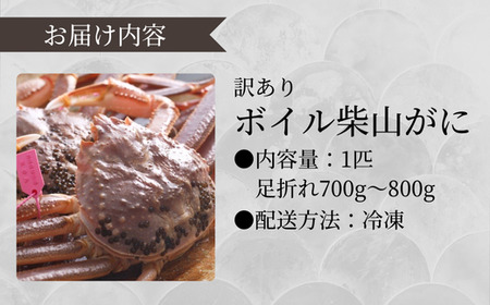《先行予約》【訳あり】 ボイル 柴山がに（冷凍）900g～1kg 1匹 【令和8年11月上旬以降発送予定】 かに カニ  04-08