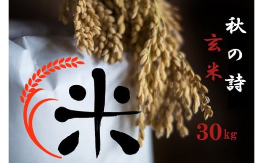 【令和7年産 特別栽培 近江米 『秋の詩』玄米30kg】米 近江米 秋の詩 ブランド米 滋賀県 竜王