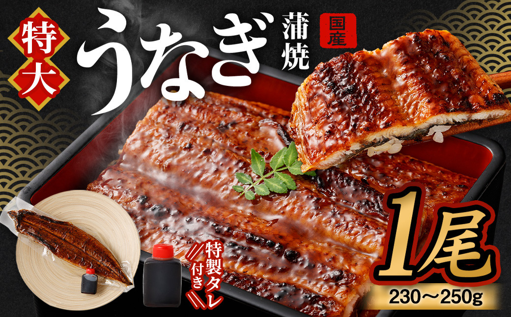 国産 うなぎ 蒲焼 1尾 （230 ~250g） と 特製タレ 1個 セット 鰻 ウナギ 蒲焼き うなぎ蒲焼 セイロ蒸し せいろ蒸し タレ付 冷凍 父の日