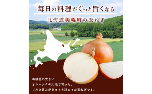 【2026年10月上旬以降発送】 玉ねぎ 2L サイズ 2kg ( 令和8年度産 タマネギ 玉ねぎ 玉ネギ 玉葱 オニオン スライス サラダ 野菜 スープ 肉じゃが 煮物 ハンバーグ すりおろし 甘い