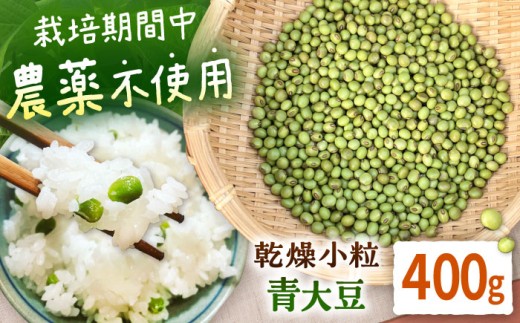 《農薬不使用》乾燥小粒青大豆（品種：黒神）400g《厚真町》【ekam】 大豆 豆 オーガニック 農薬不使用  有機JAS認証 青大豆 乾燥大豆 北海道 [AXBV011] 4000 4000円