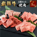 【ふるさと納税】飛騨牛 焼肉 250g×4種 食べ比べ セット 1kg 6～7人前 焼き肉 牛肉 もも ロース バラ 肩ロース バーベキュー BBQ JAひだ 40000円 [S202]