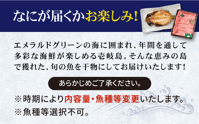 【全12回定期便】旬の海産物 干物詰め合わせ Eセット（壱岐牛付/肩ロース薄切り）《壱岐市》【マルミ海産物】[JCY020] 324000 324000円 干物 ひもの カマス アジ みりん干し