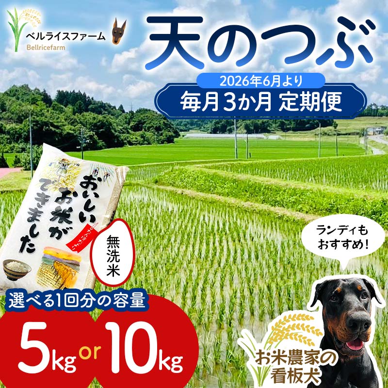 【ふるさと納税】 《選べる容量》 【お米の定期便 2026年6月より毎月3か月配送】農家直送 天のつぶ 無洗米 5kg/10kg 全3回 F6U-190var