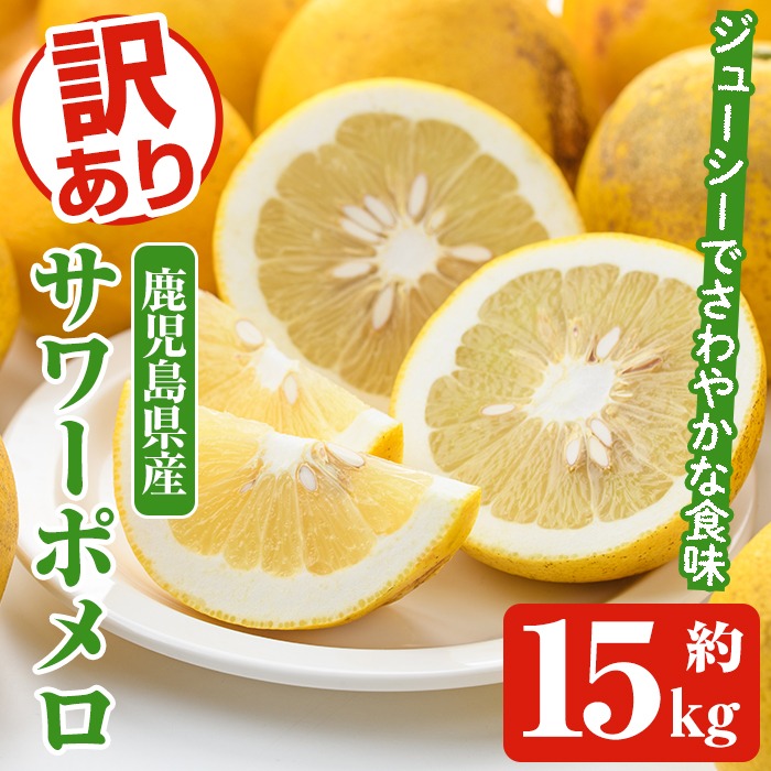 ＜先行予約受付中！2026年1月以降順次発送予定＞訳ありサワーポメロ(約15kg) 国産 果物 フルーツ 柑橘 甘味 酸味 デザート おやつ【松永青果】akn053-44