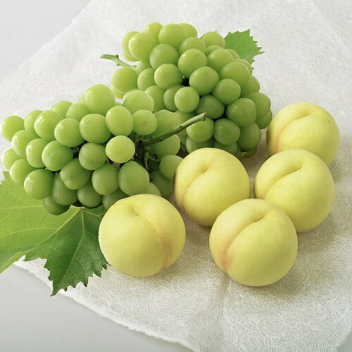 【ふるさと納税】【先行予約】岡山県産　岡山白桃とシャインマスカット　環-8