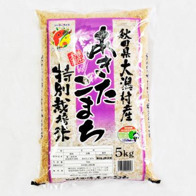 ふるさと納税 大潟村 【毎月定期便】あきたこまち特別栽培玄米5kg全9回