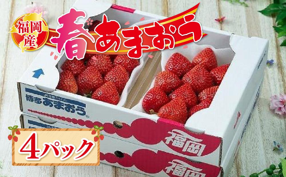 【先行予約 2026年2月上旬以降発送】福岡産【春】あまおう4パック【筑前町】※一部離島不可