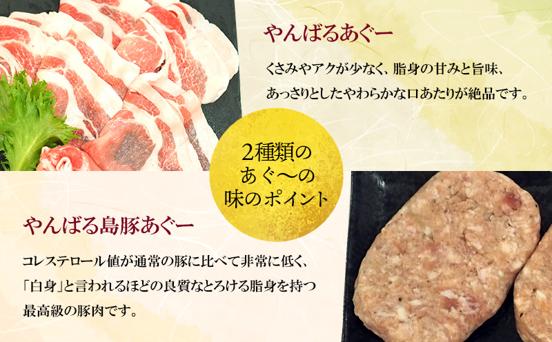 やんばるあぐーしゃぶしゃぶ（ロース＆肩ロース＆バラ＆ハンバーグ）Bセット ブランド豚 銘柄豚 やんばる あぐー豚 お取り寄せ 家庭料理 野菜炒め 豚しゃぶ しゃぶしゃぶ 特産品 人気 グルメ 国産 ポ