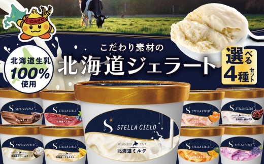 
            STELLA CIELO 北海道ジェラート《選べる4種セット》 | 北海道ミルク 北海道クリームチーズ 北海道産十勝あずき 北海道とうもろこし ラベンダー 北海道恵比寿かぼちゃ チョコラータ 北海道赤肉メロン 北海道ハスカップ
          