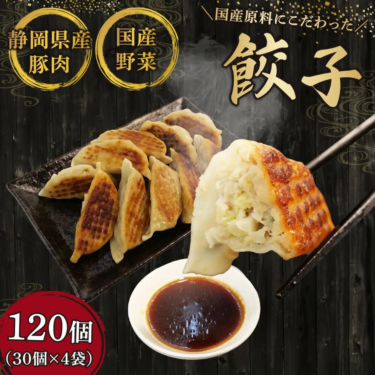 冷凍餃子 120個 餃子 国産豚肉 ぎょうざ ギョーザ