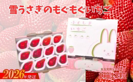 No.2477福島市産いちご【大玉完熟とちおとめ 】雪うさぎのもぐもぐいちご 1箱12玉（約400g）【2026年１月下旬より発送】