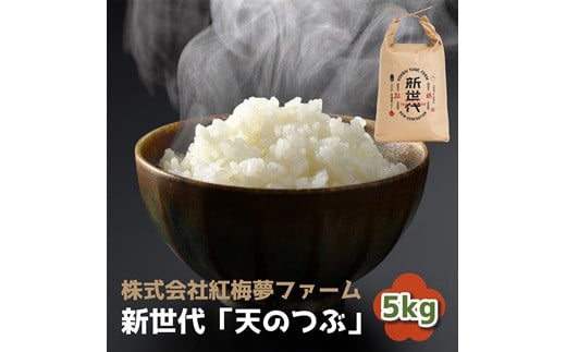 
            新世代 「天のつぶ」 5kg × 1袋 精米 紅梅夢ファーム 令和6年産 5キロ 白米 ごはん ブランド米 南相馬 福島 オリジナル 品種 福島県産 お取り寄せ 炊き立て 送料無料 ふるさと納税 オンライン申請【0402001】
          