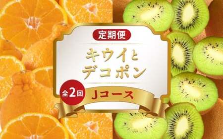 旬のフルーツ定期便 2回 Jコース フルーツ 定期便