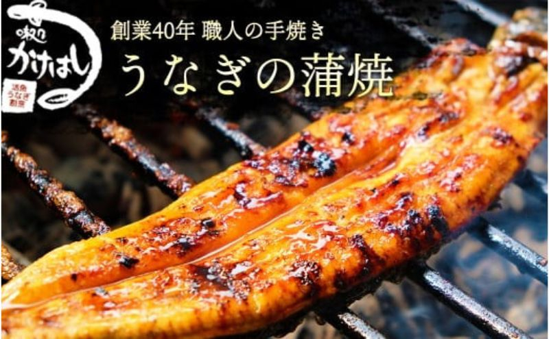 
創業40年 全てが職人による手焼き うなぎの蒲焼き 3尾
