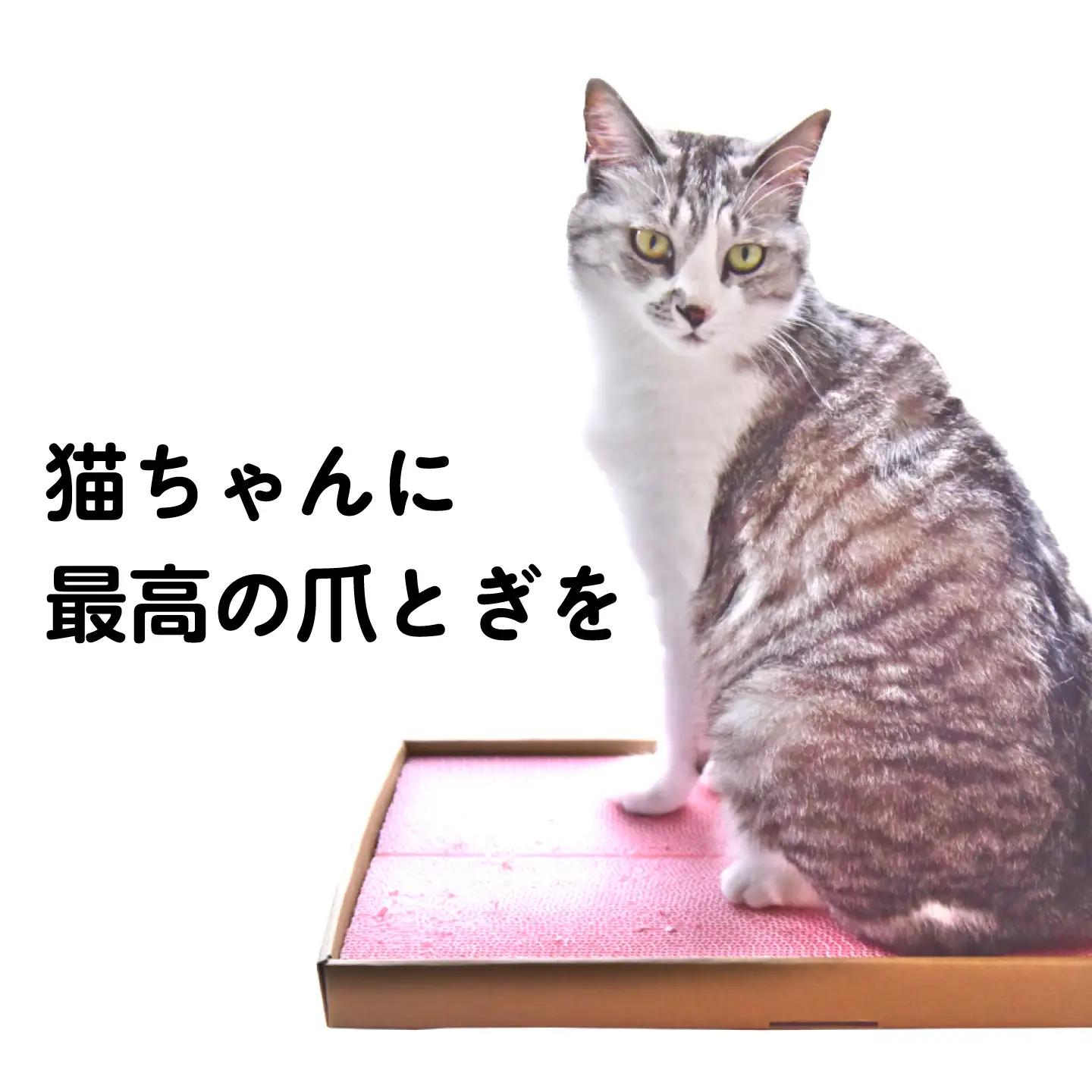 トランス爪とぎ・ダンボール / 爪とぎ 猫用爪とぎ 猫 インテリア ペット ねこ ネコ 愛猫 ペット ペット用品 段ボール ダンボール / 恵那市 / 東濃コアー[AUEZ003]