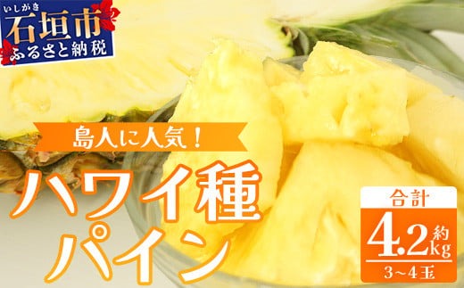 【先行予約】《2026年7月上旬頃より順次発送》石垣島産 ハワイ種パイン 3～4玉セット 約4.2㎏【 産地直送 石垣島産 石垣 完熟 パイン パイナップル 】TD-7