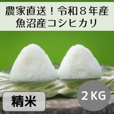 ふるさと納税 十日町市 【先行予約・令和8年産】新潟県魚沼産コシヒカリ「山清水米」精米2kg