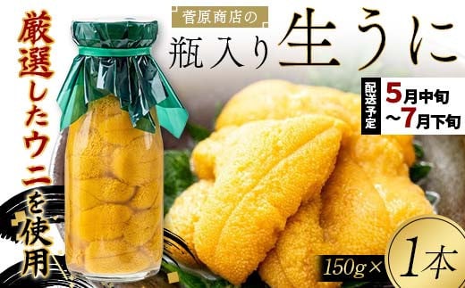 
≪2025年先行予約≫ 菅原商店の生うに150g 1本 【令和7年5月中旬～7月下旬配送予定】【配送日指定不可】【沖縄・離島配送不可】三陸山田 山田町 牛乳瓶 海産品 無添加 ミョウバン不使用 雲丹 海栗 YD-712
