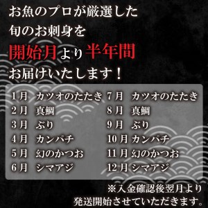 定期便 6回 刺身 鮮魚 冷凍 真空 パック 旬 かつお タイ ブリ スマ シマアジ カンパチ 高級魚 鰤 鰹 鯛 縞鯵 勘八 新鮮 天然 養殖 愛南町 愛媛県 （定期便 6回 刺身定期便 鮮魚定期便