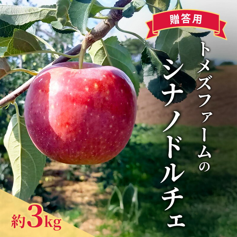 【ふるさと納税】シナノドルチェ（贈答用） 約3kg（8玉〜12玉入り）トメズファーム　りんご　長野　信州　小諸　果物　フルーツ　お届け：2026年9月中旬より順次発送致します。