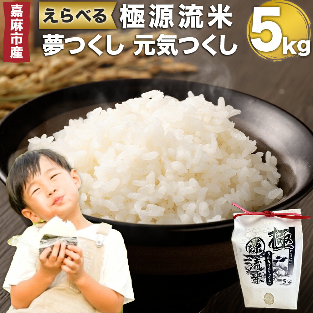 【ふるさと納税】極源流米 5kg お米 白米 令和7年産 精米 単一原料米 上流栽培米 源流米 ブランド米 えらべる 夢つくし 元気つくし 常温 少量生産 福岡県産 嘉麻市 九州産 国産 送料無料