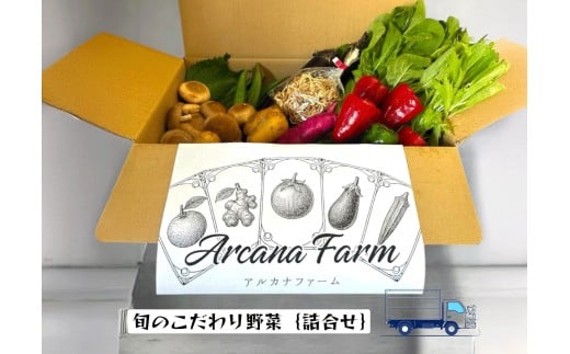 【3回定期便】 こだわりの新鮮野菜セット 8~11品目 | 野菜セット 新鮮 野菜 季節の野菜 おすすめ 高知県 南国市