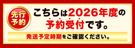 北海道産 とうもろこし 2種 10本 (おひさま7本 ロイシー3本) 糖度20度以上