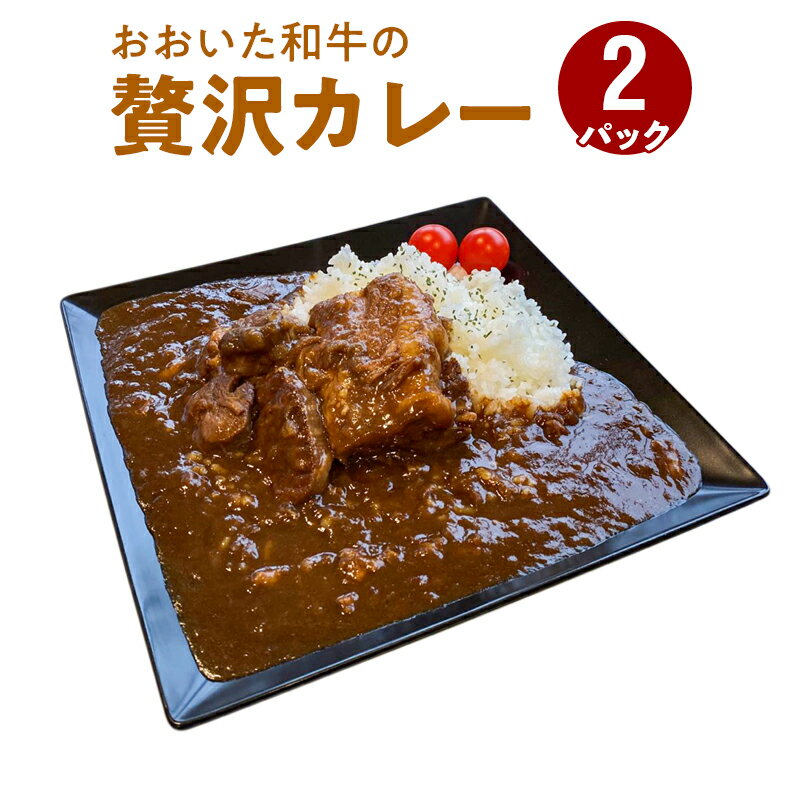 【ふるさと納税】おおいた和牛の贅沢カレー 2パック