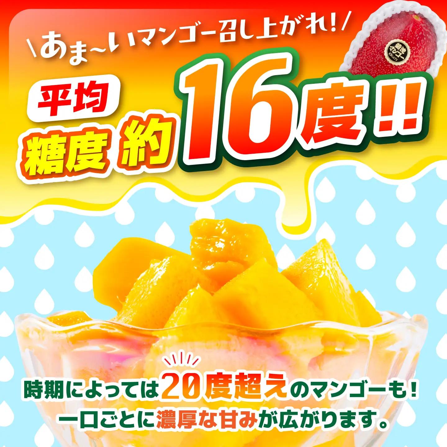 【2027年6月上旬から順次発送】友枝マンゴー農園の完熟訳ありマンゴー約1kg AYDF001