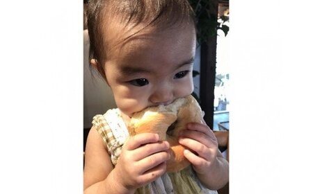 わっぱ堂 ふわもち ベーグル セット 詰め合わせ 8種 バラエティー 豊富 いちじく 抹茶 ブルーベリー チーズ ベーコン 国産 小麦 自家製 厳選 個包装 保存 便利 パン 食品 朝食 おやつ お取