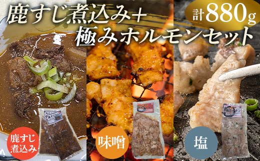 
                  鹿すじ煮込み+ホルモンセット 合計880g(鹿すじ煮込み 480g・塩ホルモン 200g・味噌ホルモン 200g) EB8-0329
                