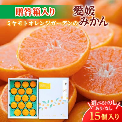 【ふるさと納税】【2025年11月より順次発送】西宇和地区八幡浜産 愛媛みかん贈答用 15個入り(のし あり/なし)_ みかん ミカン 蜜柑 愛媛みかん 温州みかん 果物 くだもの フルーツ えひめ 甘い おいしい かんきつ 柑橘 柑橘類 【G1356897】